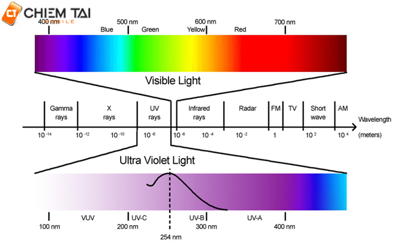 Các nguồn chính của tia UV là gì?