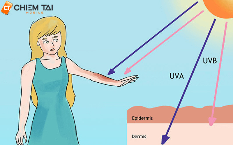 Tác hại của tia UV với con người