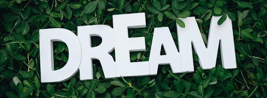 Hình chữ DREAM trên tán cây đẹp cho Facebook