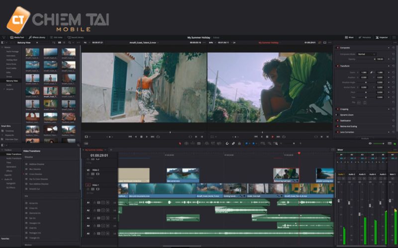 Davinci Resolve