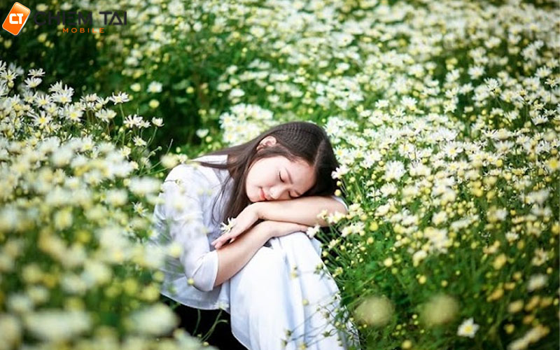Tạo dáng kiểu ngủ giữa cánh đồng hoa