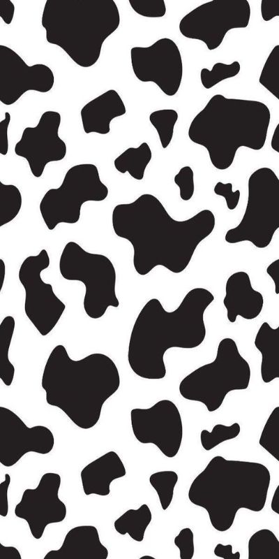 Hình nền bò sữa cute ảnh bò sữa cute