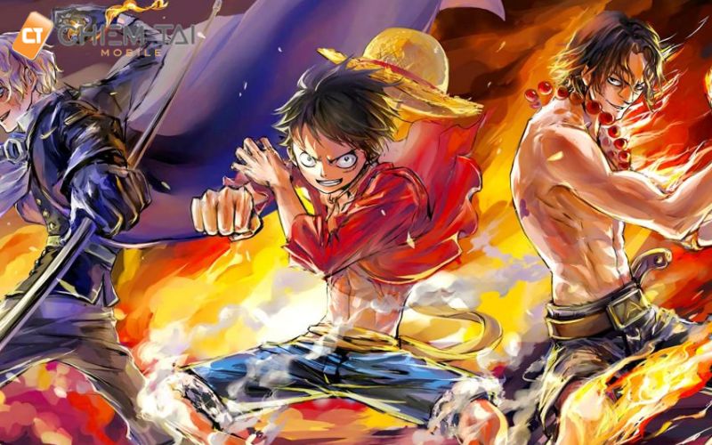 Hình ảnh Luffy và những người bạn trong One Piece | One piece, Hình ảnh,  Anime