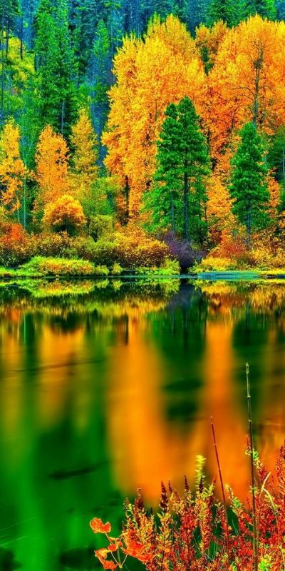 autumn; mùa thu; ảnh đẹp mùa thu, canh dep mua thu | Flickr