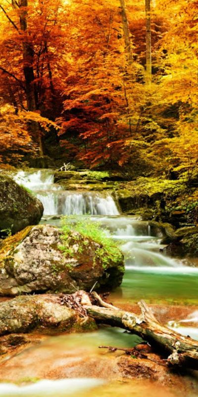 Khám phá 107 hình nền thiên nhiên mùa thu tuyệt vời nhất  Tin học Đông Hòa