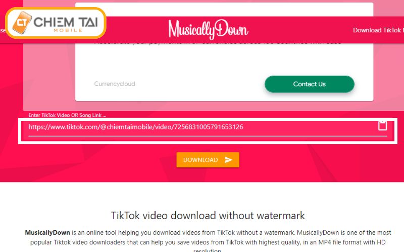 dán liên kết video TikTok cần xóa logo vào MusicallyDown