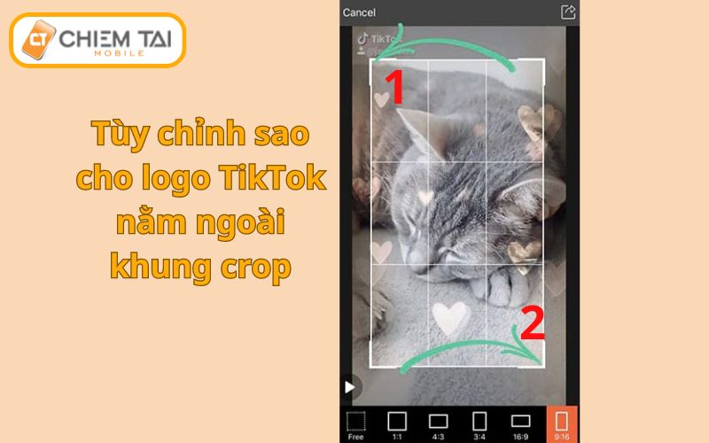 Tùy chỉnh tỷ lệ khung hình video để watermark nằm ngoài khung hình mới