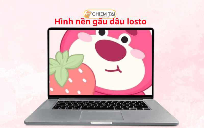 hình nền gấu dâu cho điện thoại