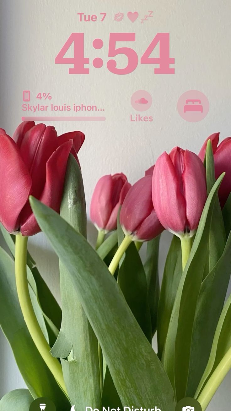 hình nền hoa tulip chill 10