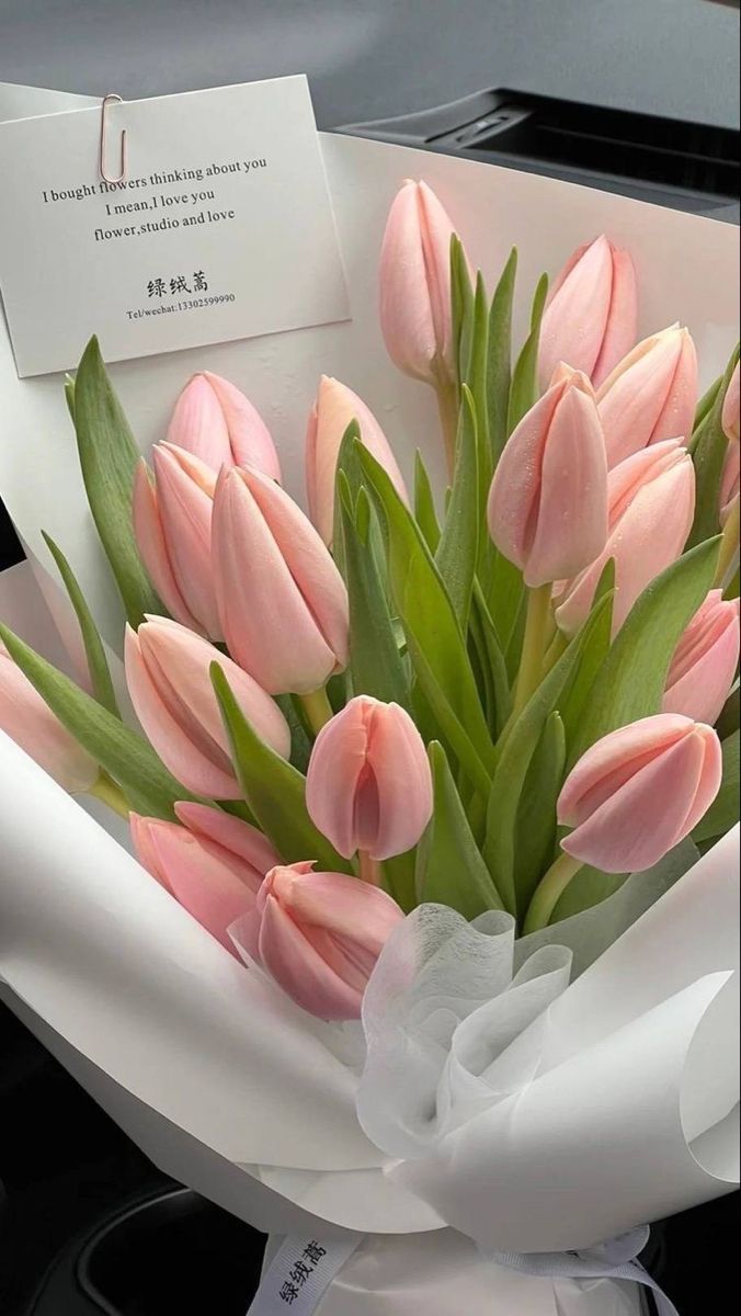 Hình nền hoa Tulip hồng trắng 5