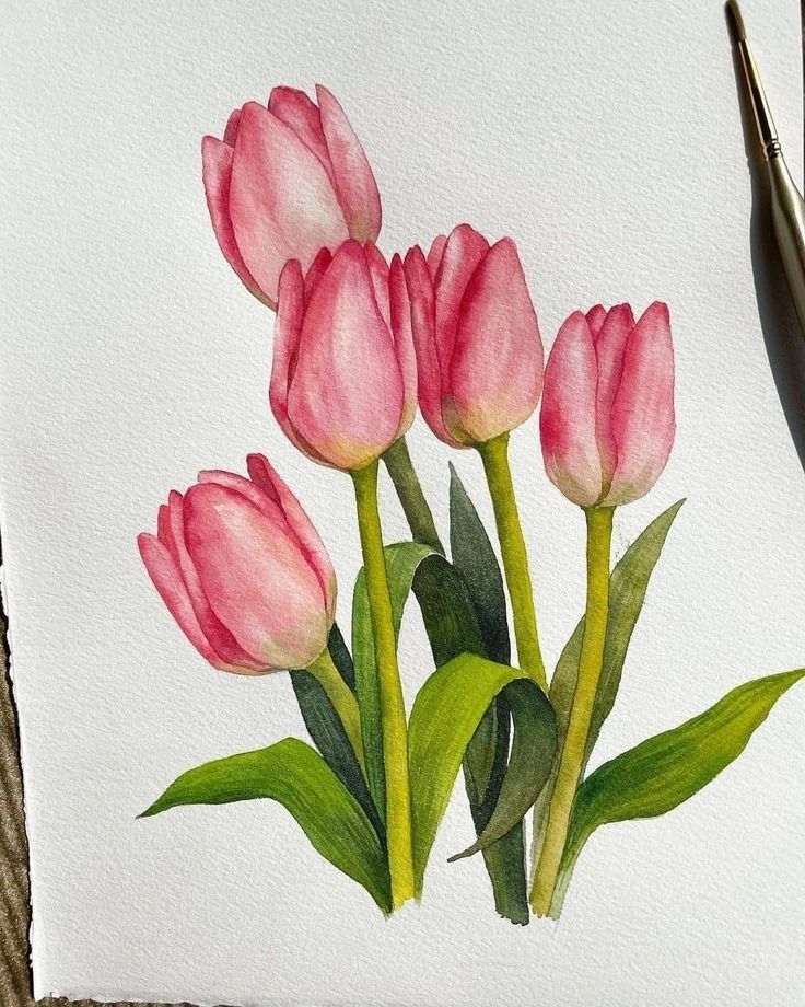 ảnh nền hoa tulip vẽ 6