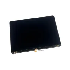 Màn hình Macbook Pro Retina 13 inch A1502 2013, 2014, 2015 nguyên bản zin máy (Xám, bạc)